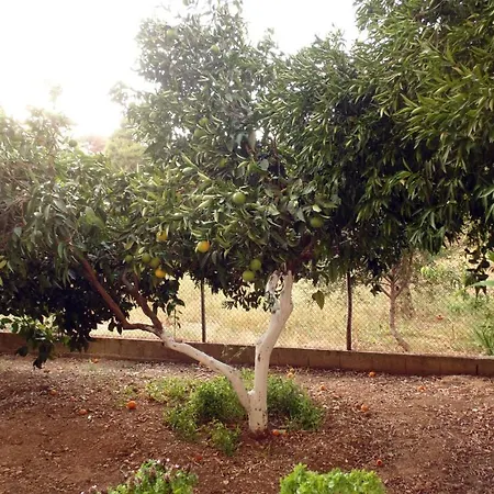 Appartamento Melini *