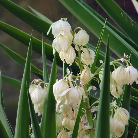 Melini Appartamento *